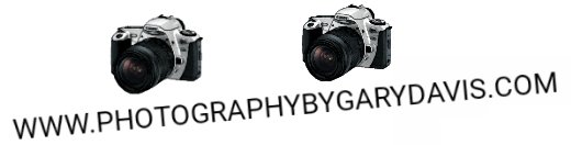images/gary-davis.jpg
